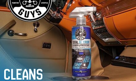 Chemical Guys SPI22016 Total Interior Cleaner and Protectant